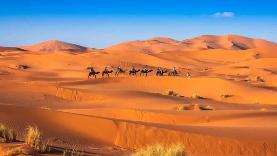 From Fes: 2-Day Merzouga Desert Trip w/Luxury Tent & Dinner - Nomad camp night: luxury tent comfort plus real desert atmosphere