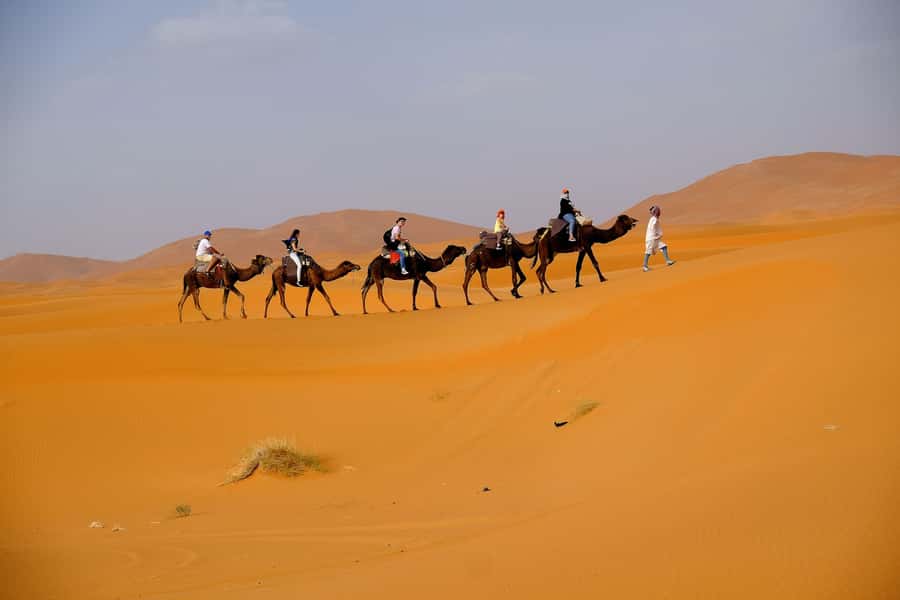 From Fes: 2-Day Merzouga Desert Trip w/Luxury Tent & Dinner - Sunrise on Erg Chebbi: the second big moment of the trip