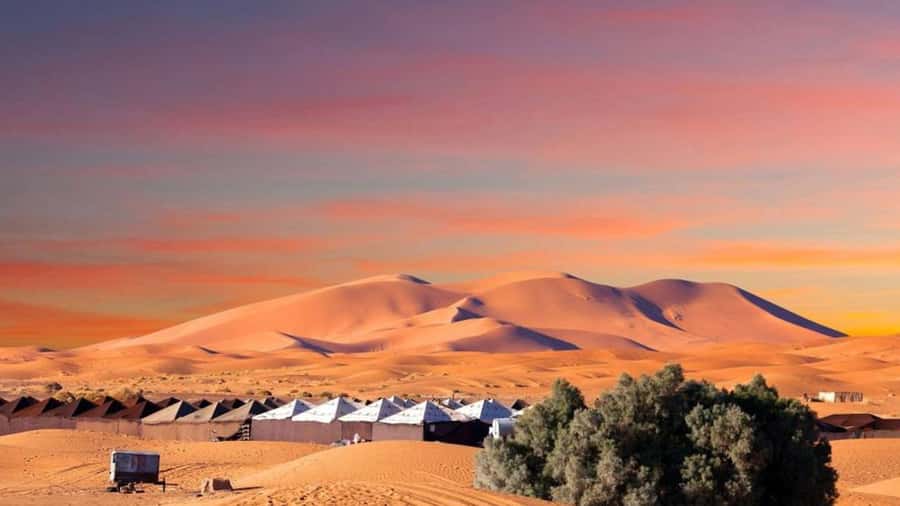 From Fes: 2-Day Merzouga Desert Trip w/Luxury Tent & Dinner - Midelt, the Ziz Valley, and Erfoud: watching the scenery shift