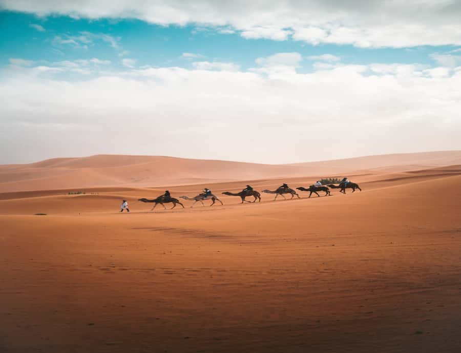 From Fes: 3-Day 2-Night Desert Tour to Marrakech - Key things to know before you go