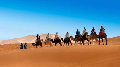 From Fes: 3-Day 2-Night Desert Tour to Marrakech - Day 1: Fes to Merzouga through Ifrane, Azrou macaques, and the Ziz Valley palms