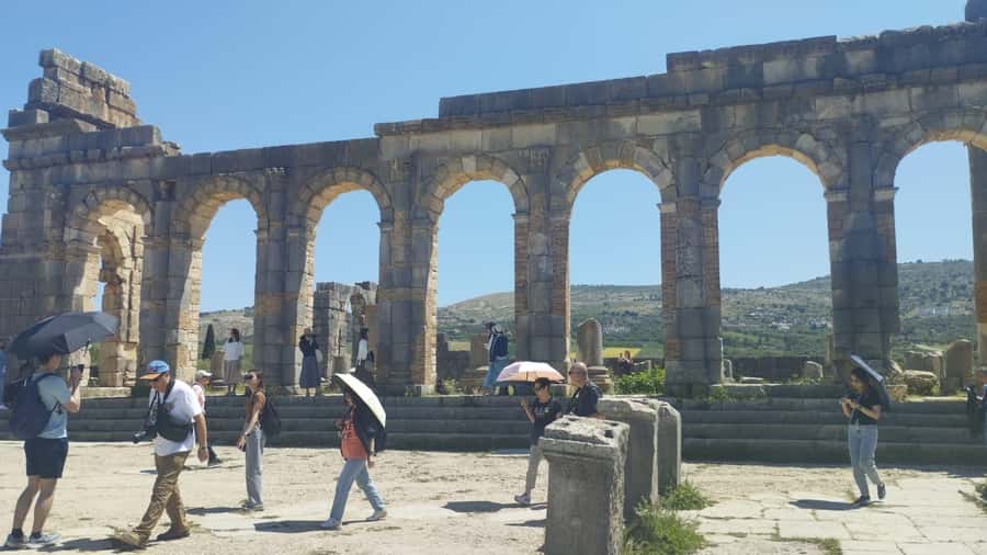 From Fes: Meknes Volubilis and Moulay Idriss Day Trip - Who should book this Meknes and Volubilis day trip