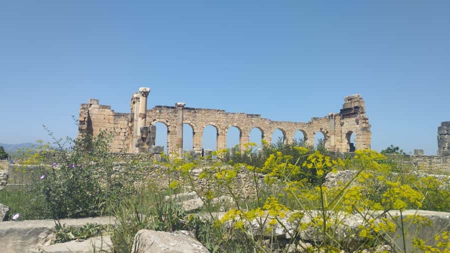 From Fes: Meknes Volubilis and Moulay Idriss Day Trip - Meknes medina: Lahdim square, Bab Mansour, and the gates that tell stories