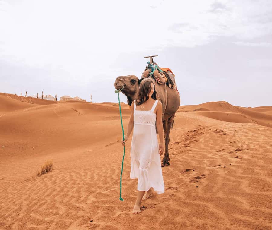 From Fes To Marrakech: 2-Days with Luxury Camp, Desert Tour - Dinner and Night Shows: Fun, But Manage Expectations