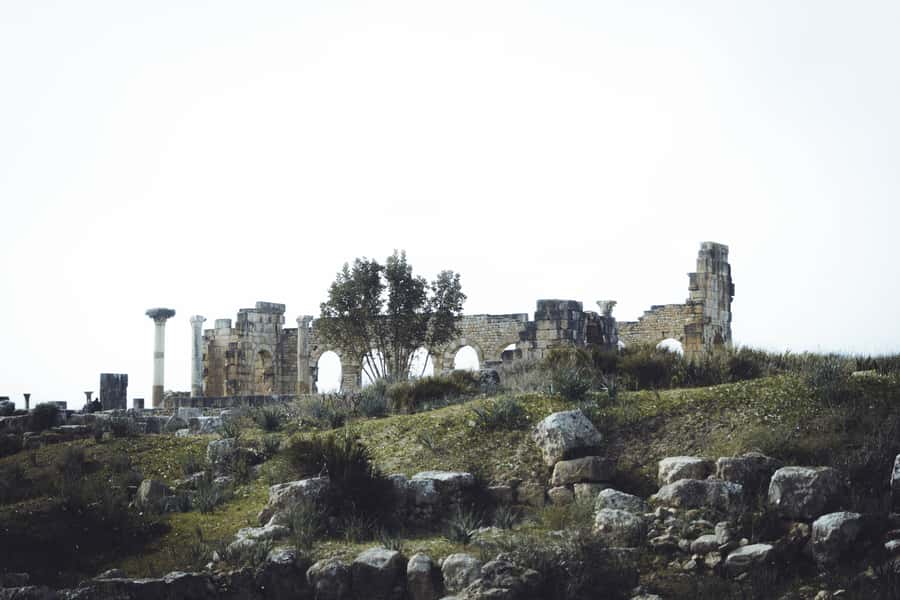 From Fes: Volubilis, Moulay Idriss and Meknes Full-Day Trip - A full-day plan from Fes: Volubilis, Moulay Idriss Zerhoun, and Meknes