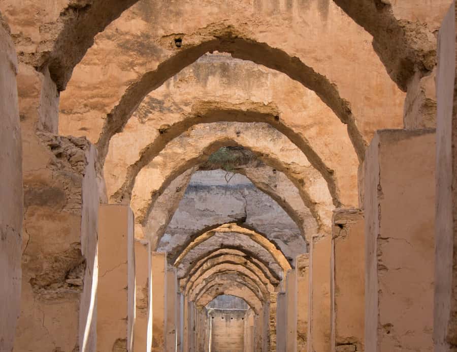 From Fes: Volubilis, Moulay Idriss and Meknes Full-Day Trip - Moulay Idriss Zerhoun: a spiritual town where people come for a reason
