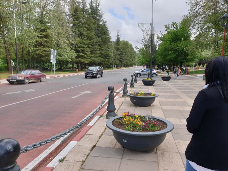 From Fez: Middle Atlas and Monkey Forest Day Trip - Ifrane National Park and the cedar-forest monkey time