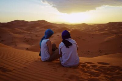 From Fez: Sahara Desert 2-Day Tour with Merzouga Camp Stay - The Long Road: Ifran, Cedar Forests, and Ziz Valley Views