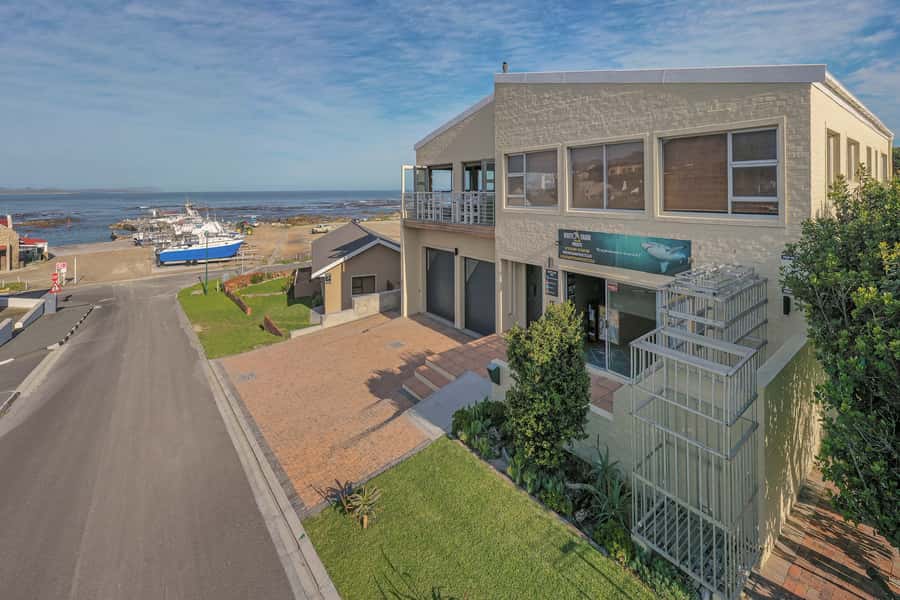 From Hermanus or Cape Town: Shark Cage Diving Experience - Key Things To Know Before You Go