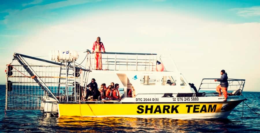 From Hermanus or Cape Town: Shark Cage Diving Experience - Getting There: Pickup From Hermanus or Cape Town, or Meet the Boat in Gansbaai