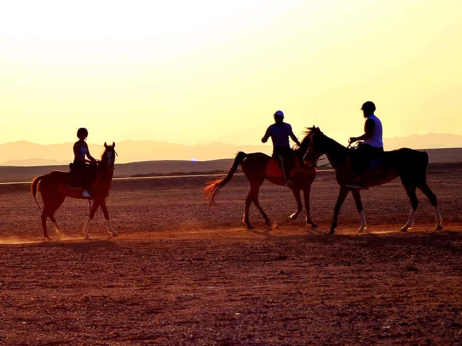 From Hurghada: Makadi Bay Horse Riding Tour - A Desert-to-Red-Sea Ride You Can Time to Sunrise or Sunset