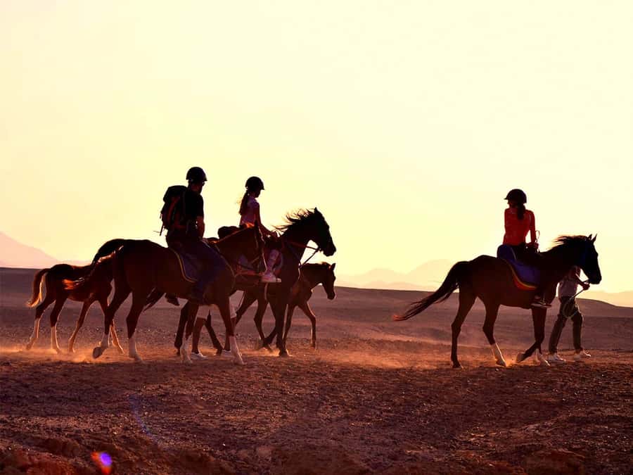 From Hurghada: Makadi Bay Horse Riding Tour - How the 2-Hour, Stargazing Dinner, and VIP Swim Options Change the Day