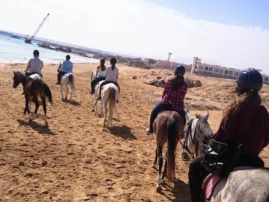 From Hurghada: Makadi Bay Horse Riding Tour - Safety, Helmets, and Horse Training: What You Should Expect