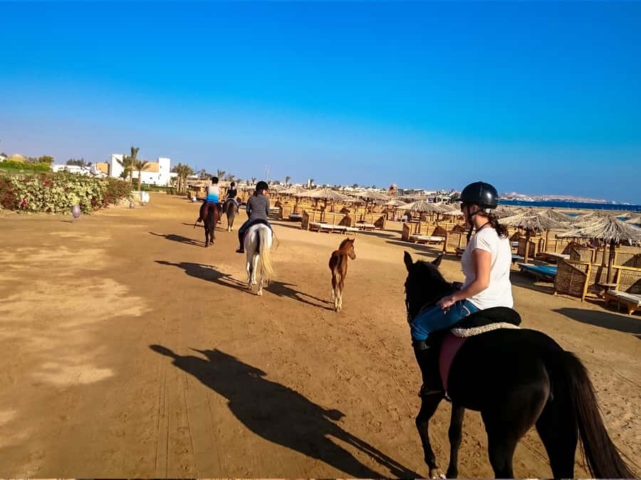 From Hurghada: Makadi Bay Horse Riding Tour - What to Pack for Makadi Bay: Heat, Sand, and Red Sea Swim Prep