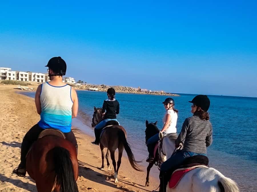 From Hurghada: Makadi Bay Horse Riding Tour - The Real Value of a $20 Horse Ride in Hurghada