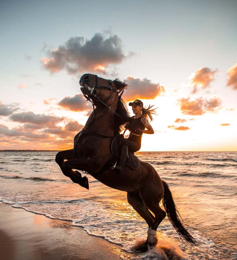 From Hurghada: Makadi Bay Horse Riding Tour - Should You Book the Makadi Bay Horse Riding Tour?