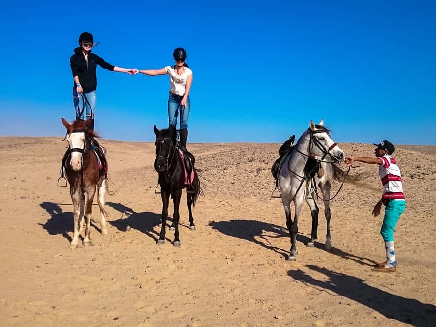 From Hurghada: Makadi Bay Horse Riding Tour - FAQ