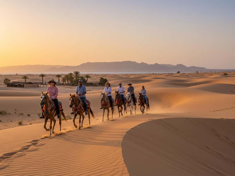 From Hurghada: Makadi Bay Horse Riding Tour - Pickup Timing from Hurghada and Nearby Resorts (and Why It Matters)