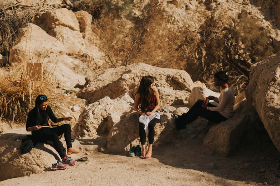 From Jerusalem: Masada at Sunrise, Ein Gedi & Dead Sea Tour - Cost and Value: What $106 Covers (and What to Budget Extra)