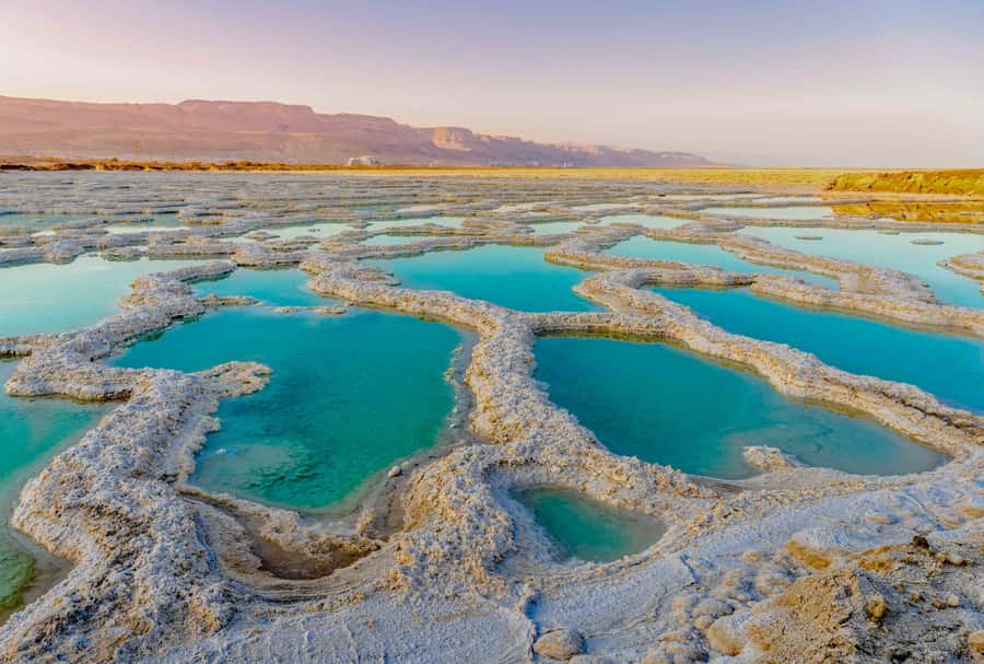 From Jerusalem: Masada&Dead Sea Tour INCLUDING ENTRANCE FEES - Key Points You’ll Care About