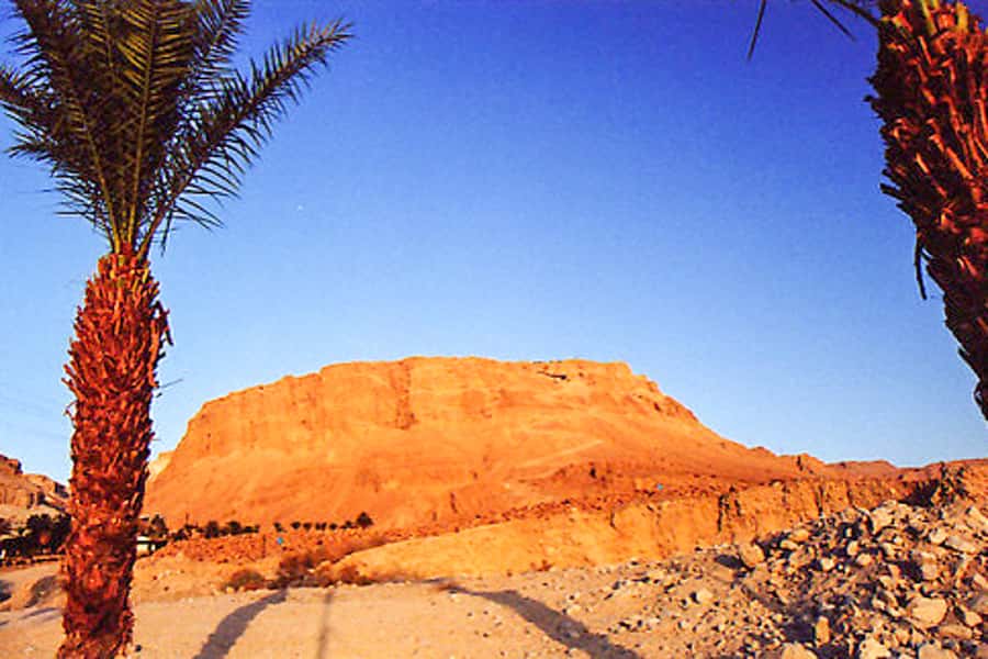 From Jerusalem: Masada&Dead Sea Tour INCLUDING ENTRANCE FEES - Price and Value: Why $111 Can Be Reasonable Here