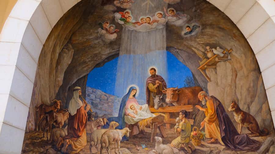 From Jerusalem/Tel Aviv: Bethlehem and Dead Sea Day Tour - Price and value: $80 makes sense if you count what you’re getting