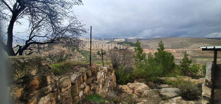 From Jerusalem/Tel Aviv: Bethlehem and Dead Sea Day Tour - Who should book this day trip