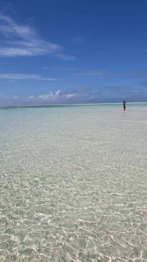 From Kendwa: Mnemba Boat Trip and Dolphin Snorkel Adventure - Key things to know before you go