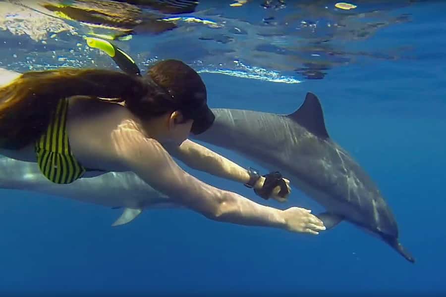 From Kendwa: Mnemba Boat Trip and Dolphin Snorkel Adventure - Kendwa to Mnemba: the vibe of this dolphin-and-reef combo