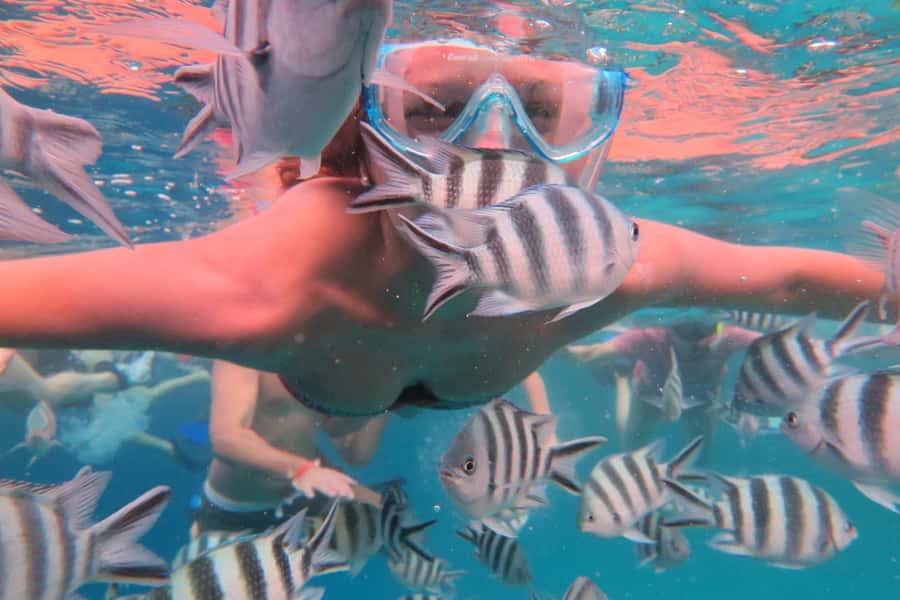 From Kendwa: Mnemba Boat Trip and Dolphin Snorkel Adventure - Included value: why the $50 price can make sense