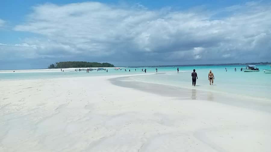 From Kendwa: Mnemba Boat Trip and Dolphin Snorkel Adventure - Choosing this tour: who it suits best