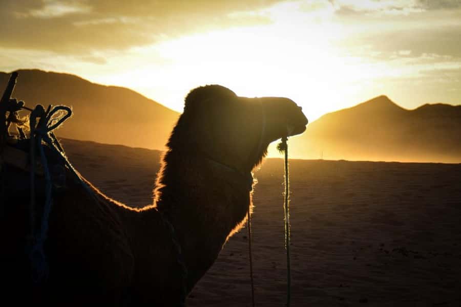 From Marrakech: 2-Day Desert Excursion - Marrakech to Ait Benhaddou: the long morning ride that pays off