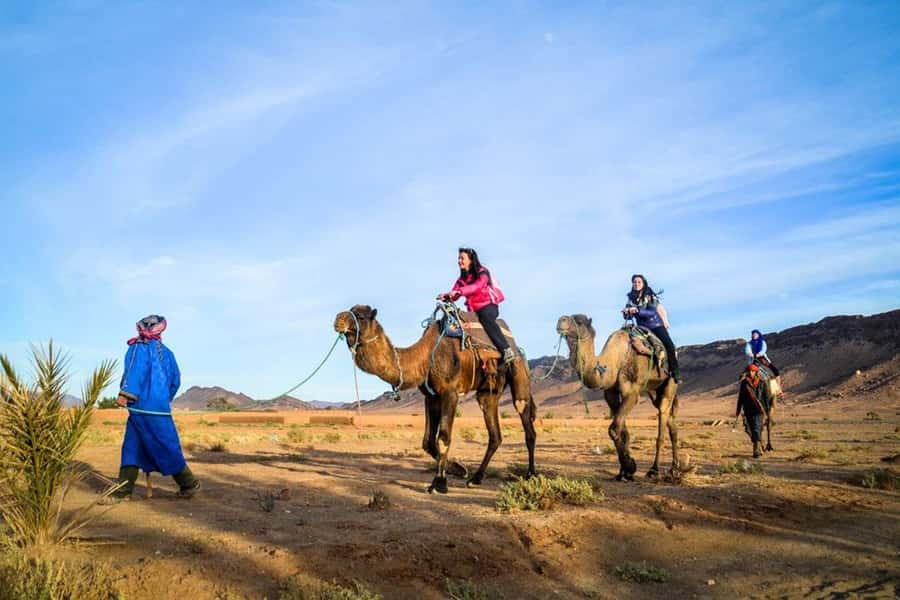 From Marrakech: 2-Day Desert Excursion - Ouarzazate stops: film studios, sandstone tones, and quick cultural fuel
