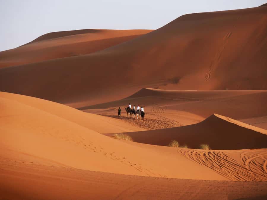 From Marrakech: 3-Day Desert Tour to Agadir - Day 2: Todra Gorge to Erg Chebbi Dunes and the Desert Camp Night