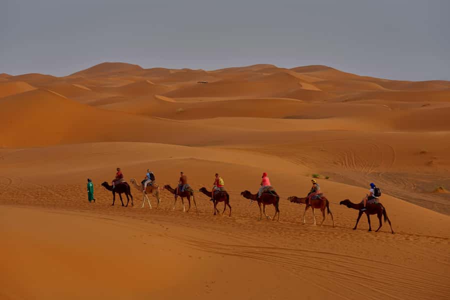 From Marrakech: 3-Day Desert Tour to Agadir - Camel Trek, Sandboarding, and the Real Pace of the Trip