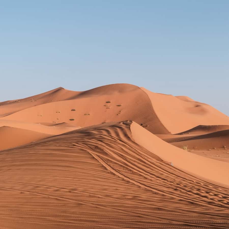 From Marrakech: 3 Day Round Trip To Merzouga Desert & Camel - The Erg Chebbi Dunes: Camel Ride, Sandboarding, and Camp Night