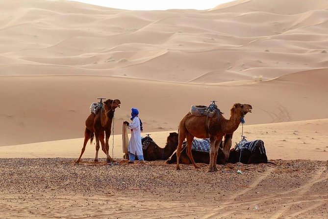 From Marrakech 4 Days Tour To Morocco Sahara Desert - Price and Value: Is $220.14 Fair for 4 Days?