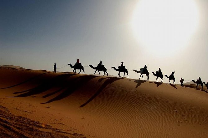 From Marrakech 4 Days Tour To Morocco Sahara Desert - Day 2 to Merzouga: Todra Gorges, Oasis Breaks, and Desert Road Stops