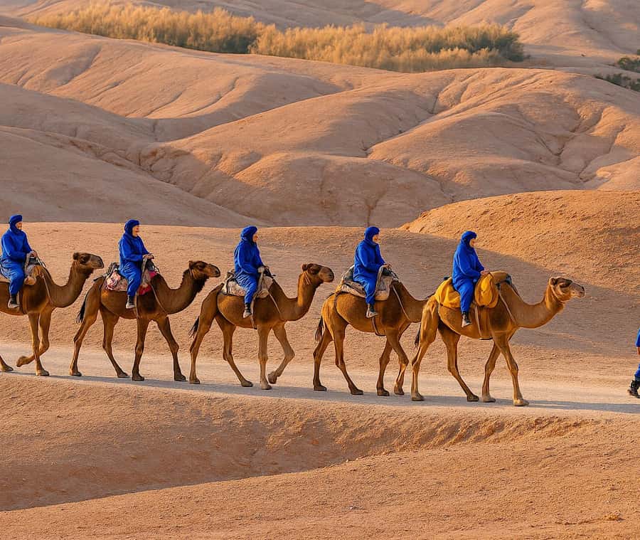 From Marrakech: Agafay Desert Dinner and Optional Camel Ride - Why Agafay Works When You Want Desert Night, Not a Full-Day Road Trip