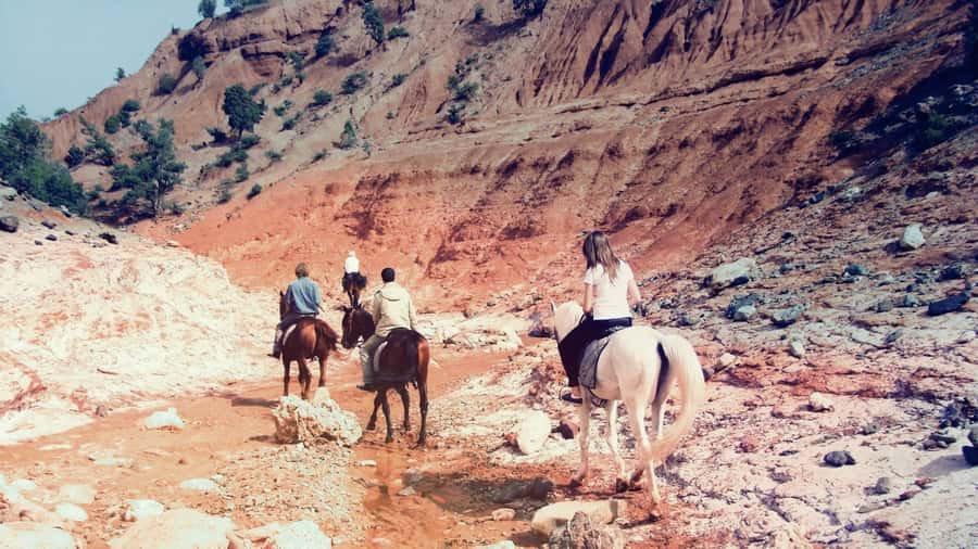 From Marrakech: Atlas Mountains 45-Minute Horseback Ride - The Horse Ride: Juniper Trails, Asni Views, and a Real Change of Pace