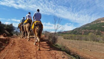 From Marrakech: Atlas Mountains 45-Minute Horseback Ride - Tahnaout Stop: Tea, Breaks, and Getting Set Up