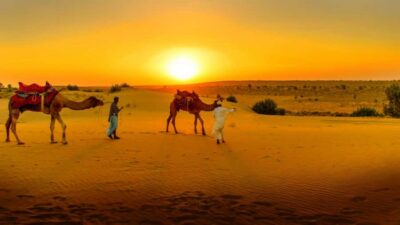 From Marrakech: Atlas Mountains and Three Valleys Day Trip - The drive to Azrou and the women’s argan oil cooperative