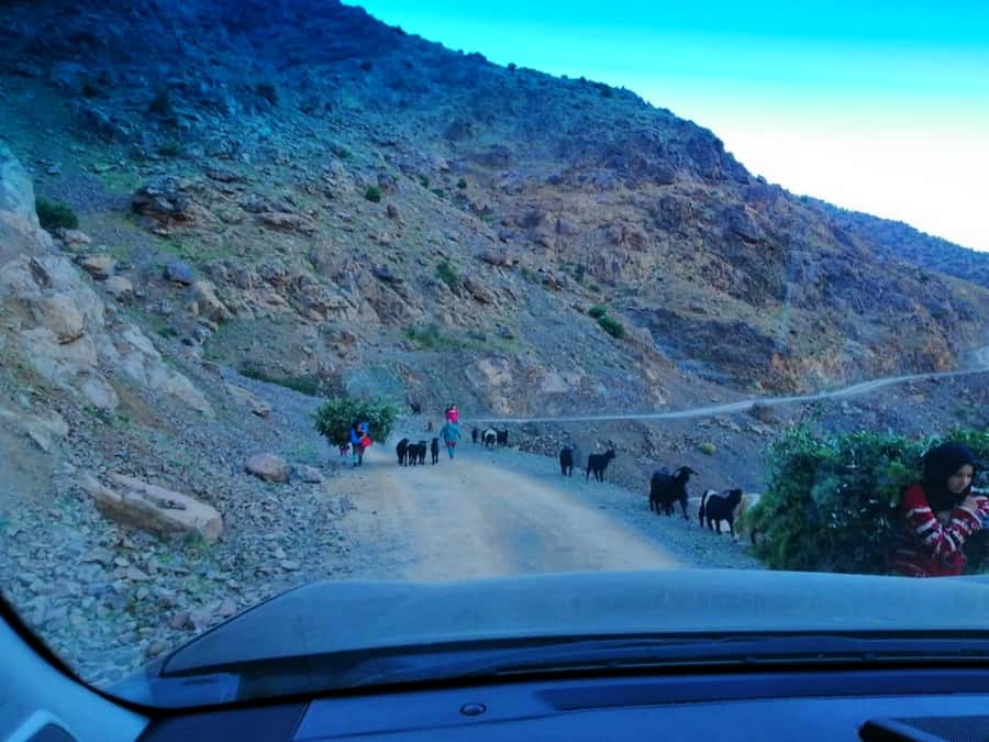 From Marrakech: Atlas Mountains and Three Valleys Day Trip - Amizmiz Valley tea break: the small talks that make it feel human