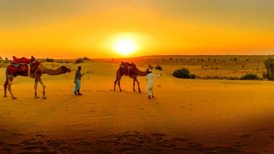 From Marrakech: Atlas Mountains and Three Valleys Day Trip - The drive to Azrou and the women’s argan oil cooperative