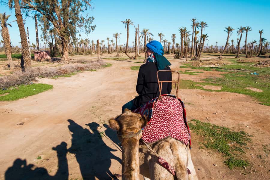 From Marrakech: Camel Ride, Quad Bike & Spa Full-Day Trip - Palmeraie Camel Ride: tea, palms, and Berber conversation