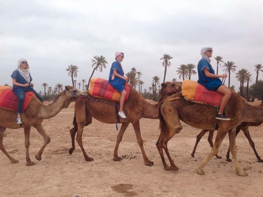 From Marrakech: Camel Ride, Quad Bike & Spa Full-Day Trip - Hammam Spa at Click Riad & Spa: black soap scrub and argan-oil calm