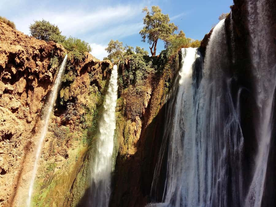 From Marrakech: Day Tour to Ouzoud Waterfalls - The Culture Stop You’ll Actually Remember: Argan Oil Cooperative