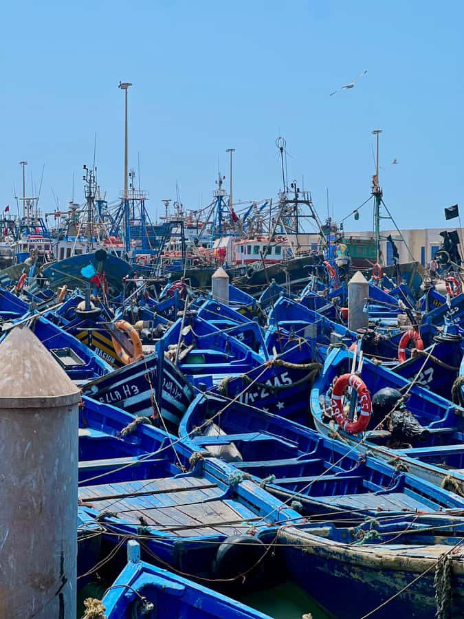 From Marrakech: Day Trip to Essaouira with Transfers - Sidi Makhtar stop, argan forest views, and a women’s cooperative you can visit