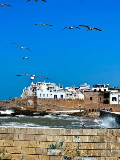 From Marrakech: Day Trip to Essaouira with Transfers - 8 AM pickup and the van ride that actually matters