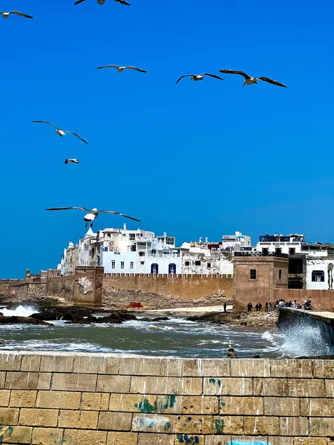From Marrakech: Day Trip to Essaouira with Transfers - 8 AM pickup and the van ride that actually matters